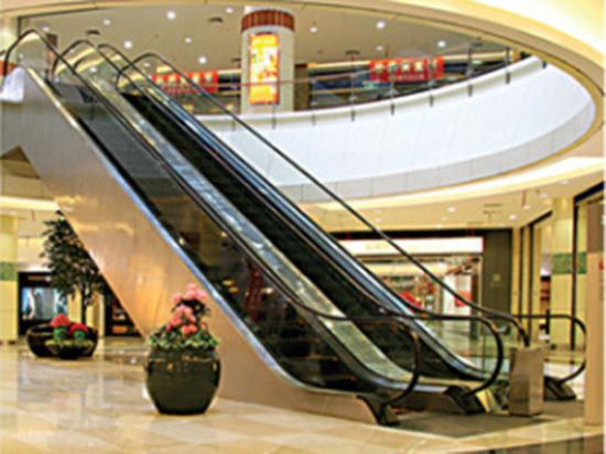 點(diǎn)擊查看詳細(xì)信息<br>標(biāo)題：自動(dòng)扶梯 閱讀次數(shù)：5200