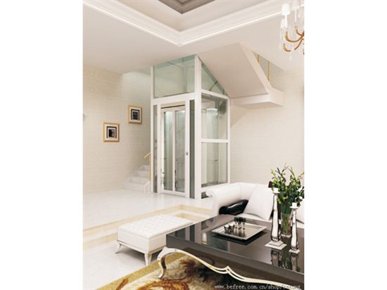 點(diǎn)擊查看詳細(xì)信息<br>標(biāo)題：別墅電梯 閱讀次數(shù)：5456